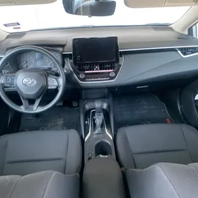 Toyota Corolla 2024