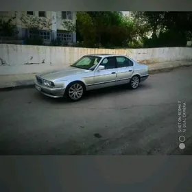 BMW 17lik disga
