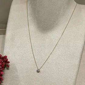 Золотой бегунок