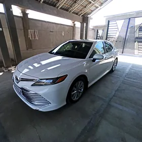 Toyota Camry 2019