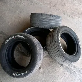 wils balon  rodax teker