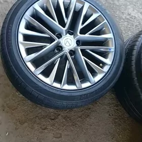 LEKSUS DISGA MORDA 18LIK