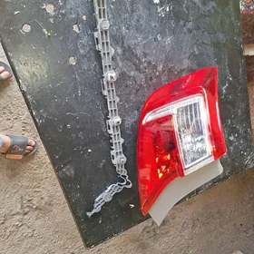 palta stopnik yzky cep cyra