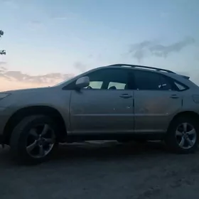 Lexus RX 330 2004