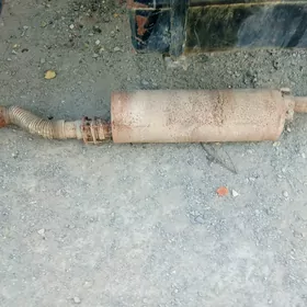 gulşitr 6.lk