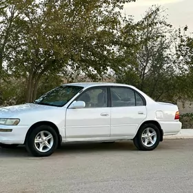 Toyota Corolla 1993