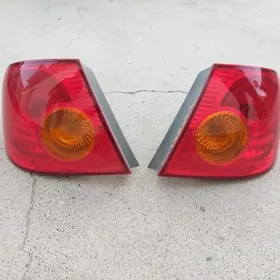 Stopnik