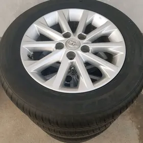 Palta kemry Radnoý 16 lk