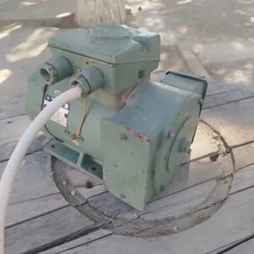 Elektrodwigatel 220v