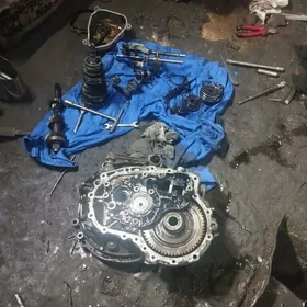 pezo 206 karopganyn zapcastdy