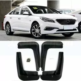 14-17 sonata brazgawik