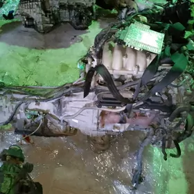 Patfinder Karopga 3.3