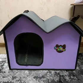 домашние животные