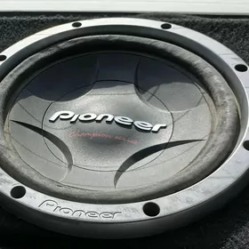 aparatura pioneer