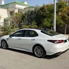 Toyota Camry 2023