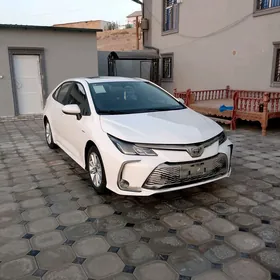 Toyota Corolla 2025