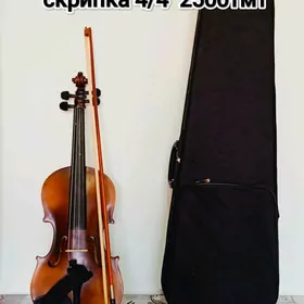 скрипка 4/4