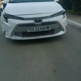 Toyota Corolla 2021