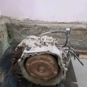 duty kemri karopka 2.4