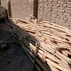 hada kara tal