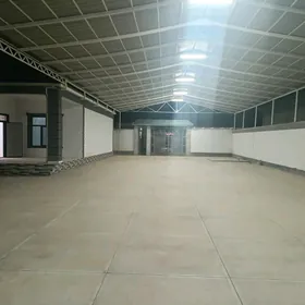 Anew Magtymguly plan satlykjay