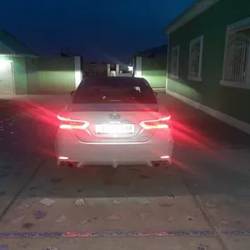 Howly jaý elitga Maksim