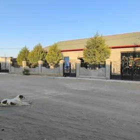 satlik jay seydi Arzuw saherce