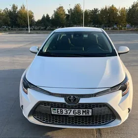 Toyota Corolla 2021