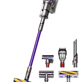 Dyson tozan soryjy(plesos)