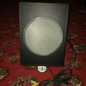 kampyuter boçka.