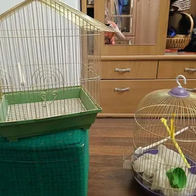 клетки для птиц