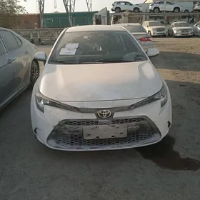 Toyota Corolla 2021