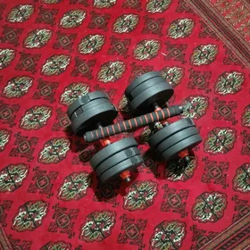 gantel 10 kg
