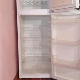 haladynlyk
