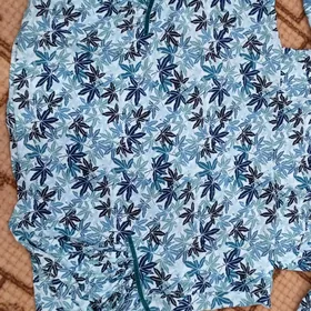 койнек