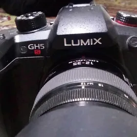 Lumix GH 5S Ronin RS 2 pro Com