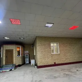 SATLYK JAY  Alp arslan koce