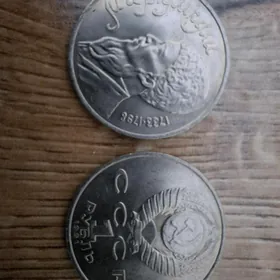 moneta tenne kopuk