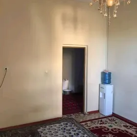 JAY SATYLYAR  Gorogly koce