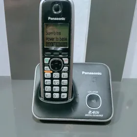 Panasonic