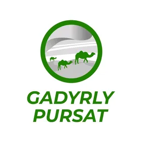 Gadyrly Pursat генератор gener