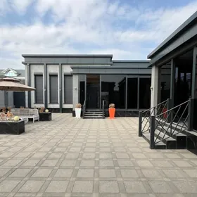 Taze Gami Plan 6-sotuk