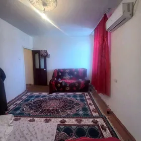 satlyk jay nowkarakumski koce