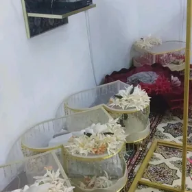 bukja nabor