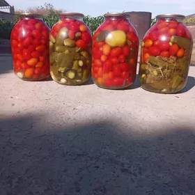 çeri pamidor