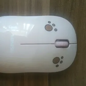Kompyuter myshka miniso