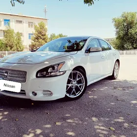 Nissan Maxima 2010
