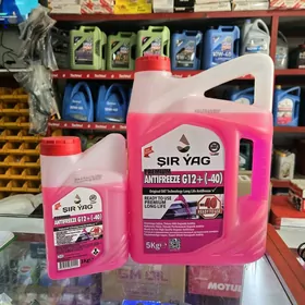 Şir Antifreeze 5KG