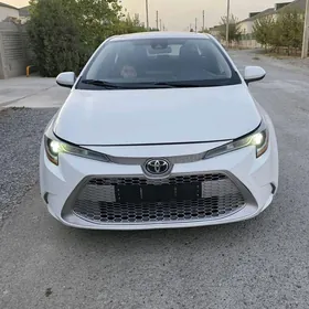 Toyota Corolla 2021