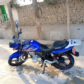Fekon FK200-14G 2025